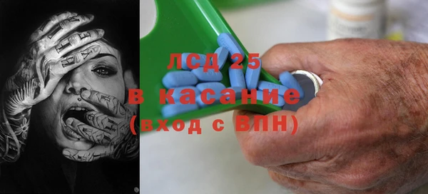 ГАЛЛЮЦИНОГЕННЫЕ ГРИБЫ Нягань