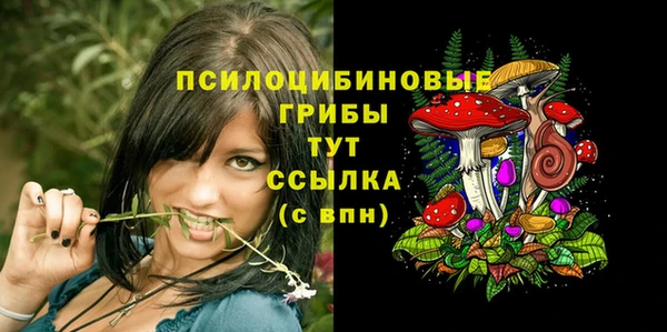 ГАЛЛЮЦИНОГЕННЫЕ ГРИБЫ Нягань