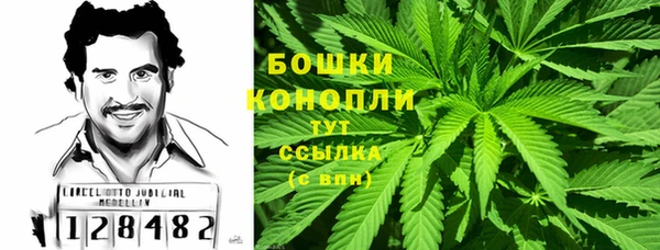 ГАЛЛЮЦИНОГЕННЫЕ ГРИБЫ Нягань