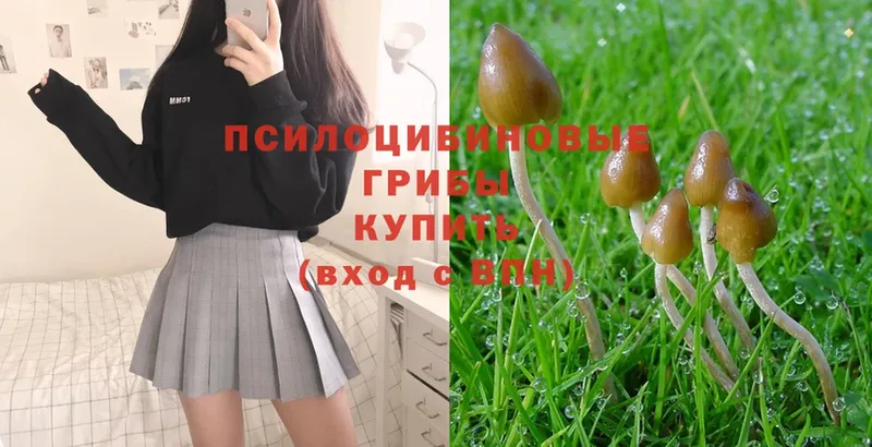 OMG вход  Боровск  Галлюциногенные грибы Psilocybe  где купить наркотик 